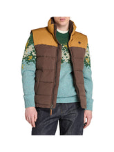 TIMBERLAND Piumino Timberland Smanicato Idrorepellente e Resistente Welch Mountain da Uomo in marrone Marrone